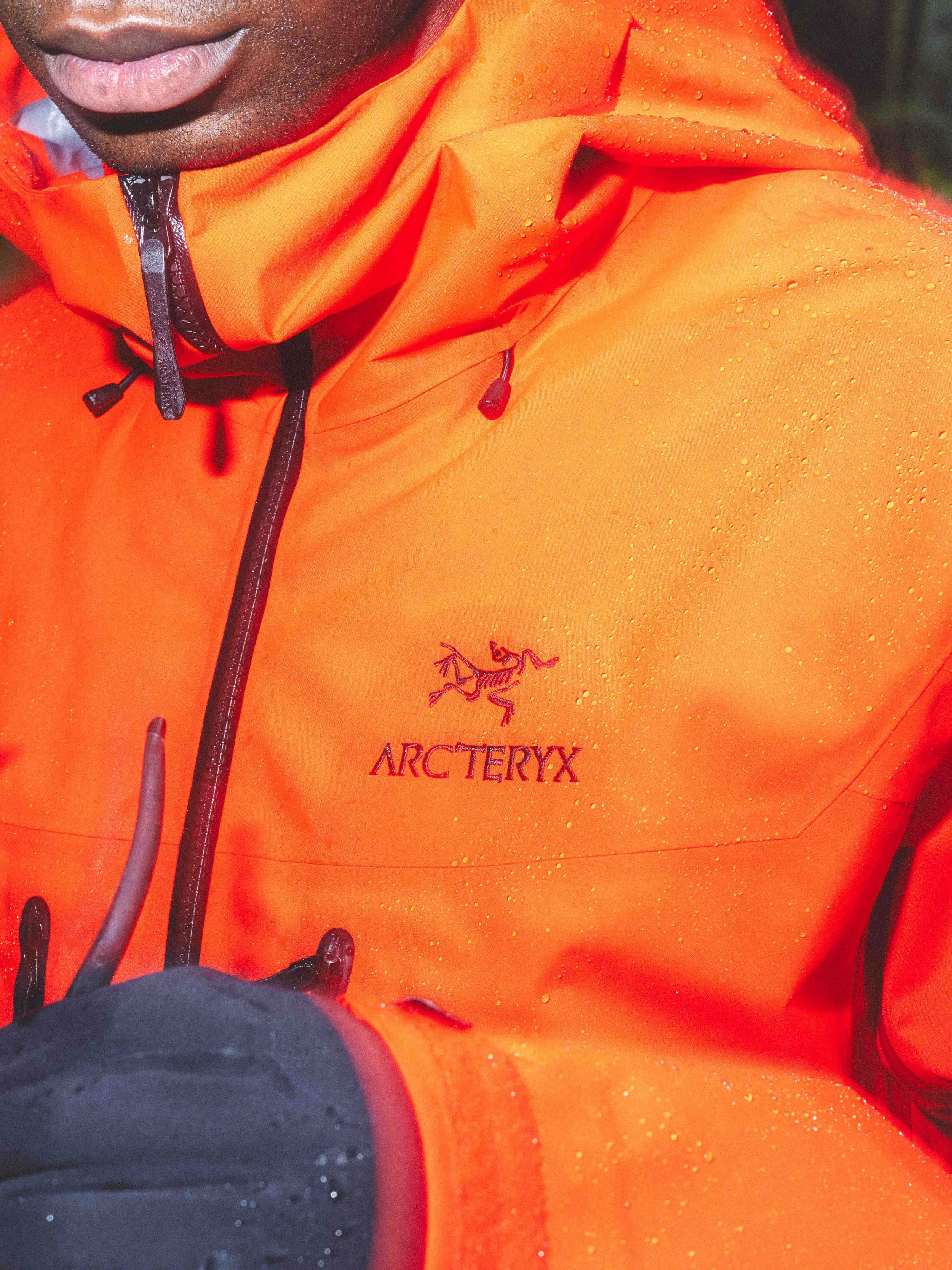 Arcteryx Alpha SV