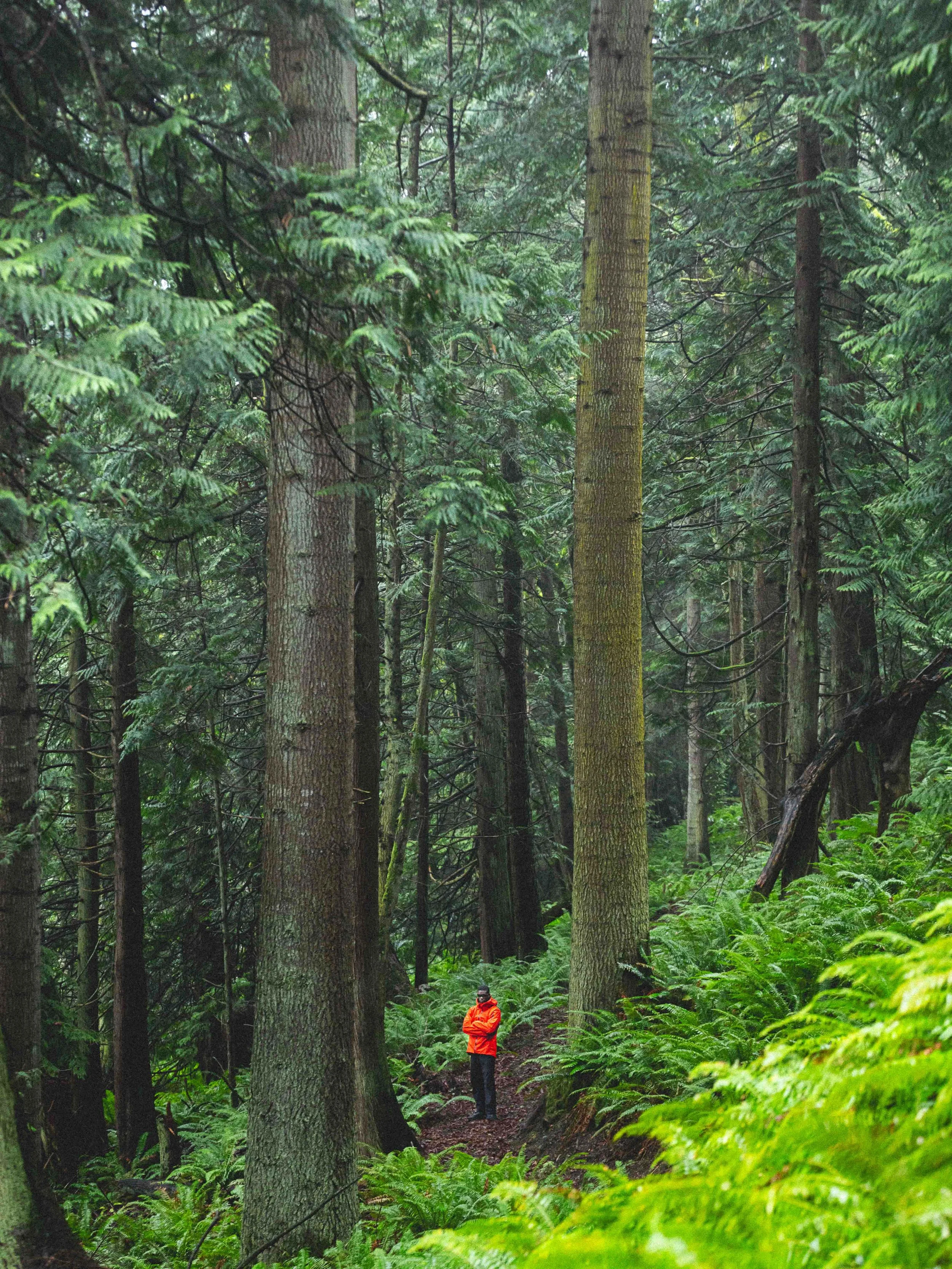 Arcteryx Alpha SV