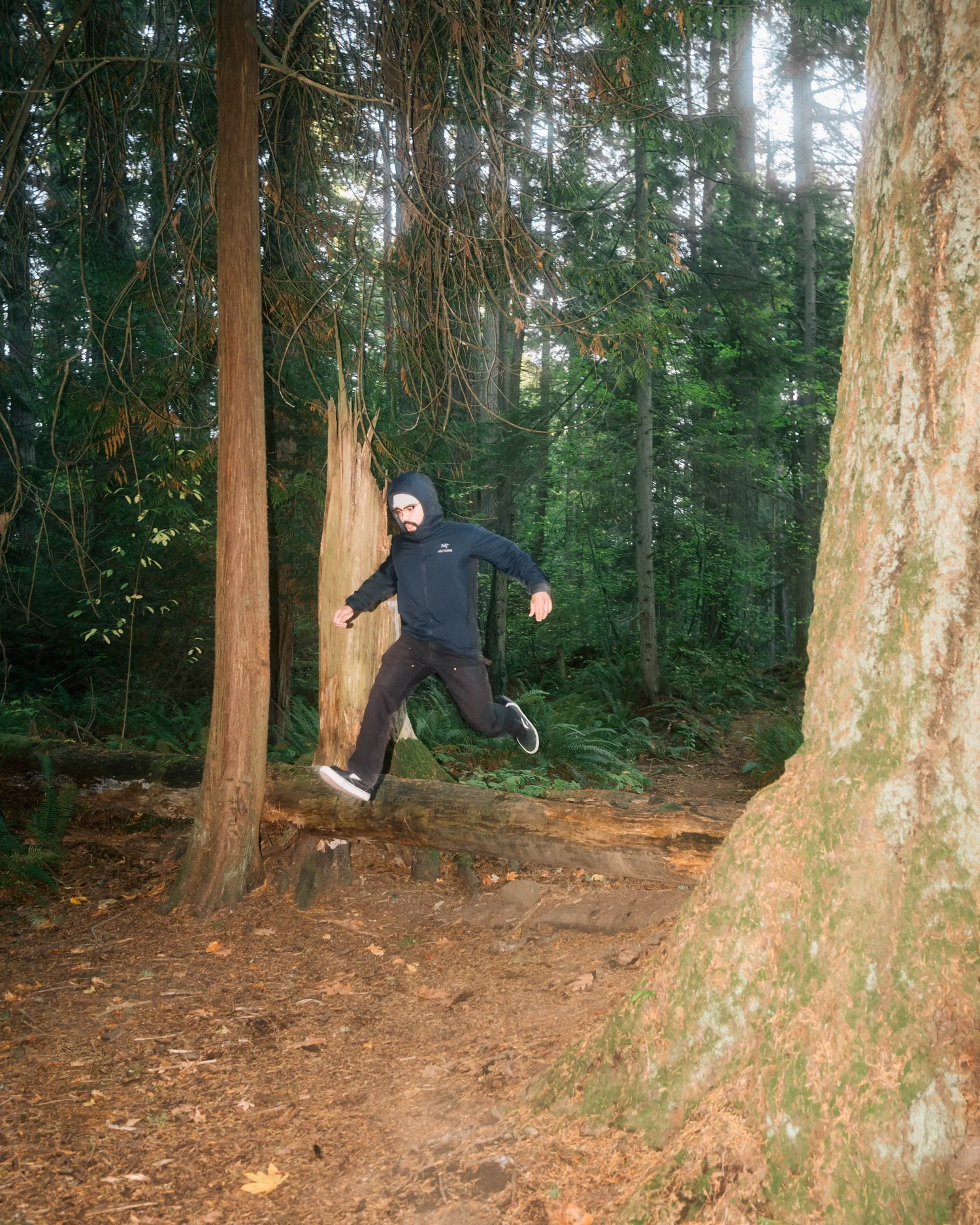 Arc'teryx Atom Hoodie