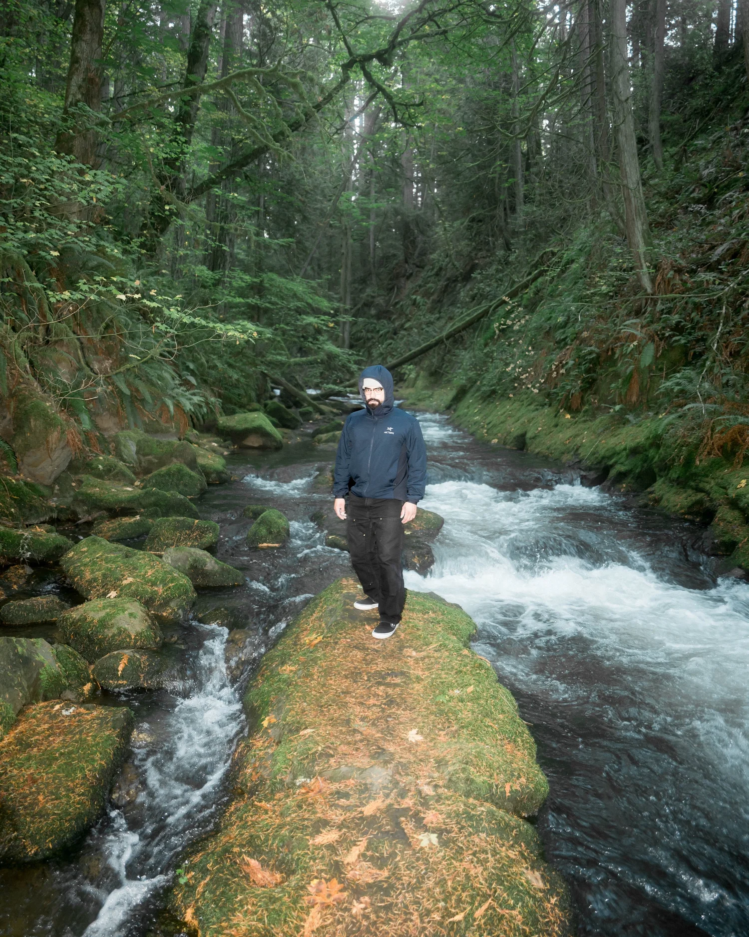 Arc'teryx Atom Hoodie