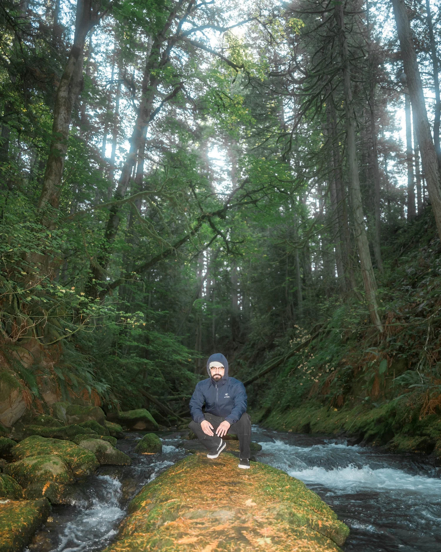 Arc'teryx Atom Hoodie