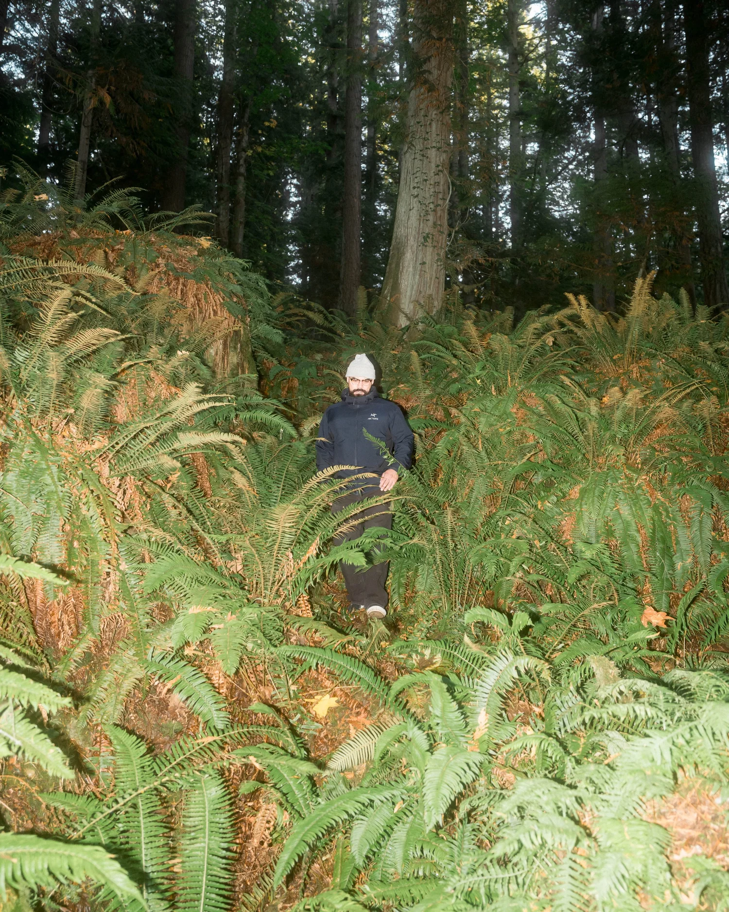 Arc'teryx Atom Hoodie