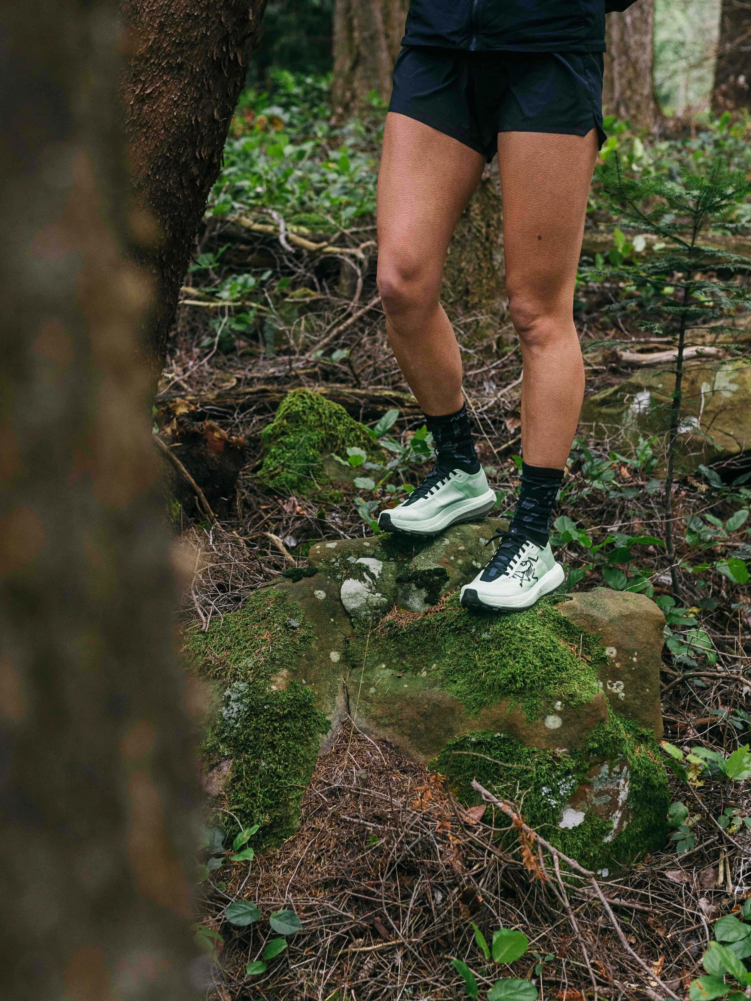 Arcteryx Sylan Pro