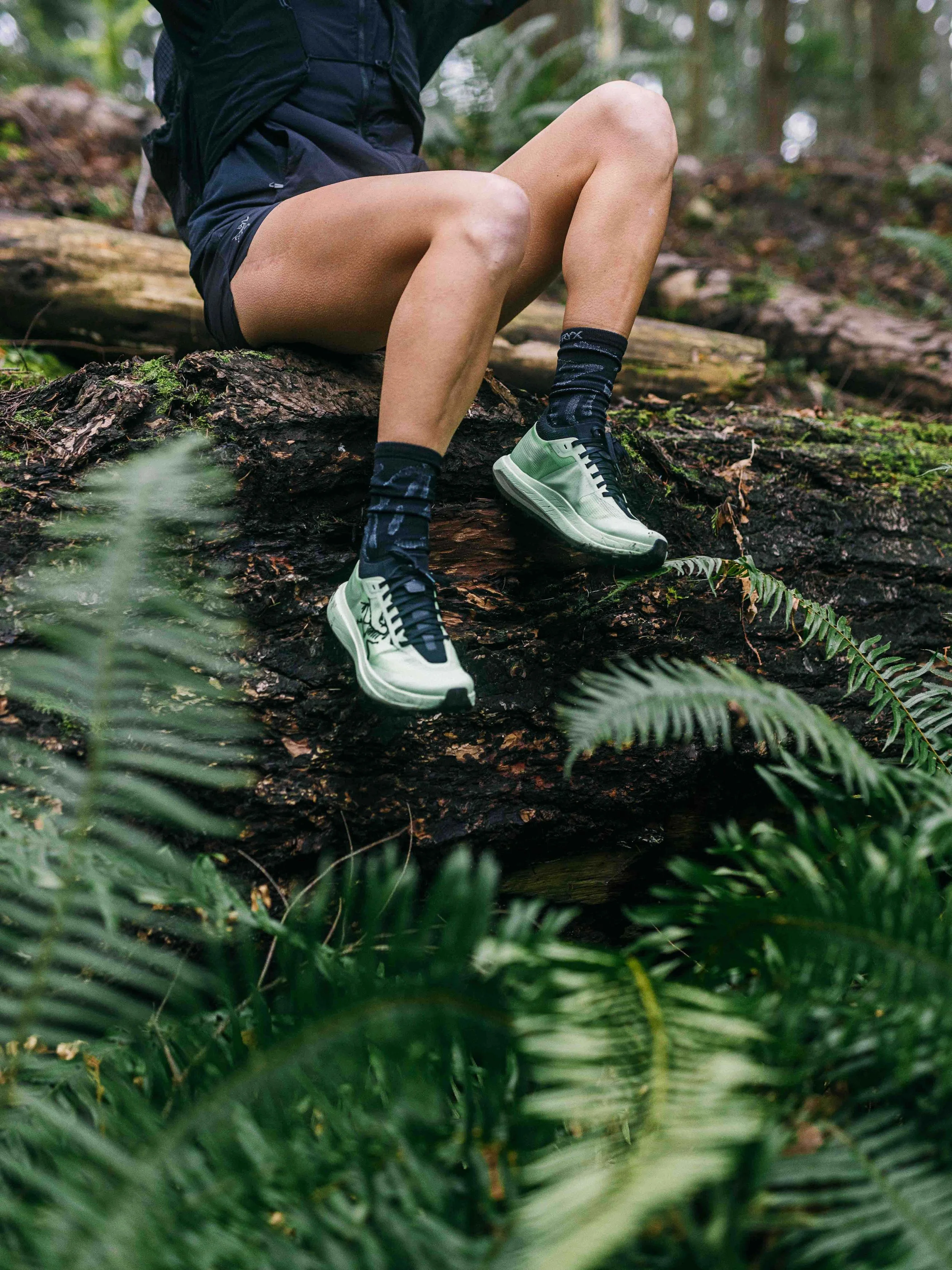 Arcteryx Sylan Pro