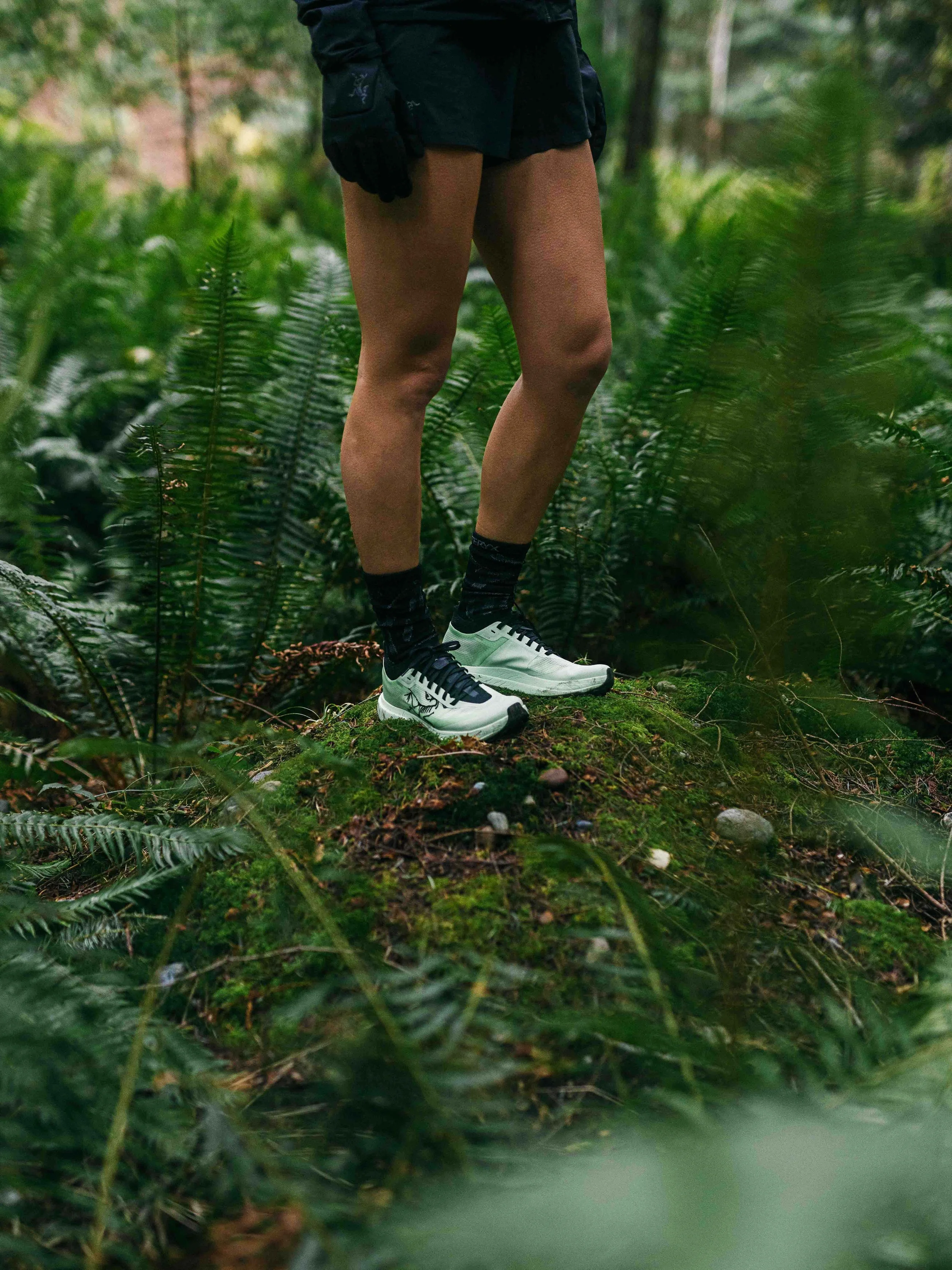 Arcteryx Sylan Pro