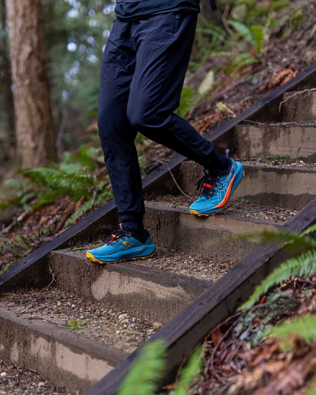 ASICS Gel-Trabuco 13