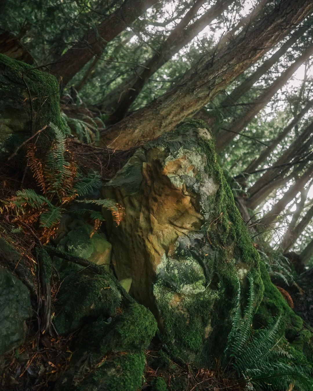 Governors Point Trail