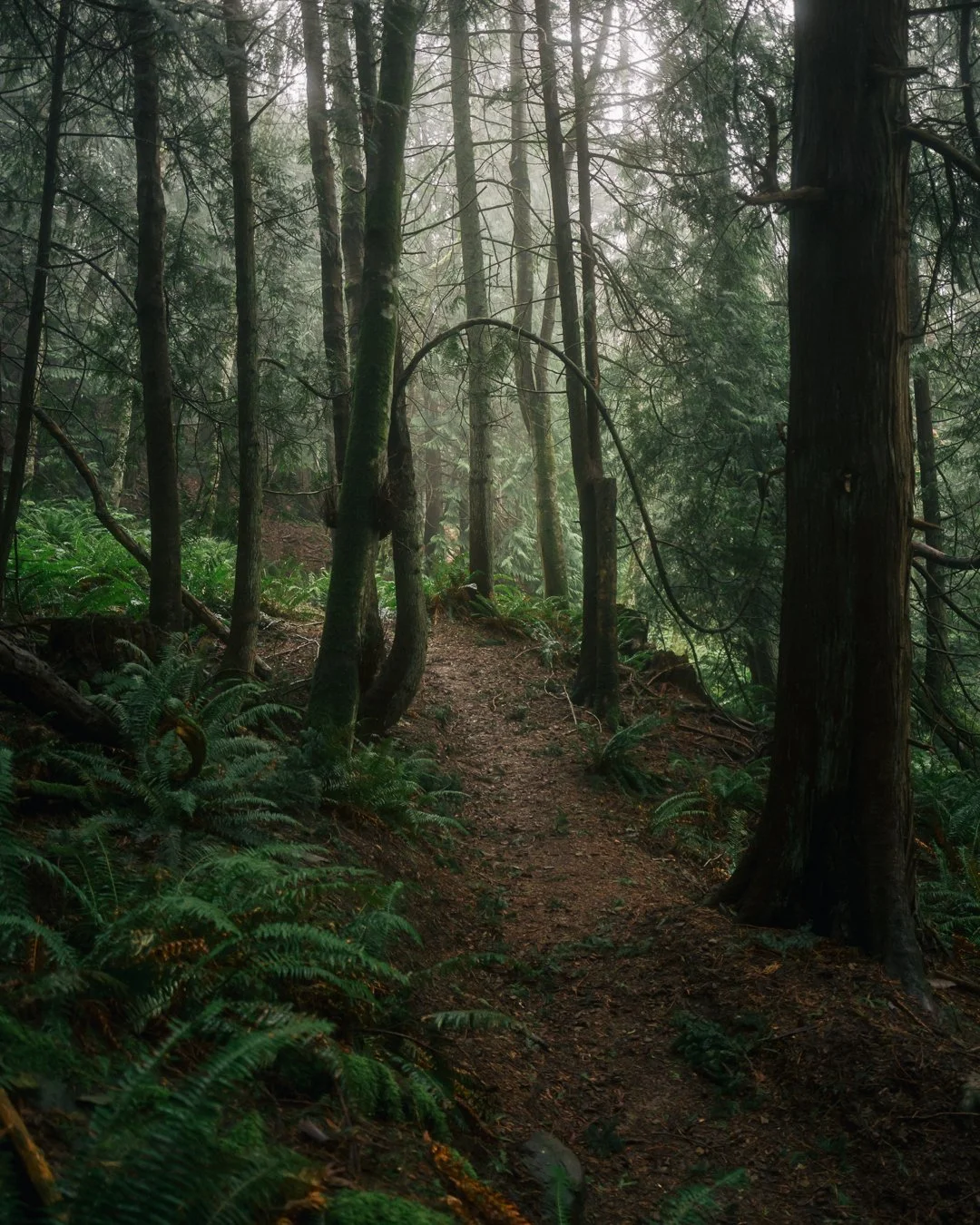 Governors Point Trail