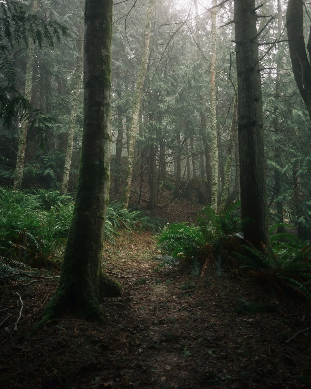 Governors Point Trail