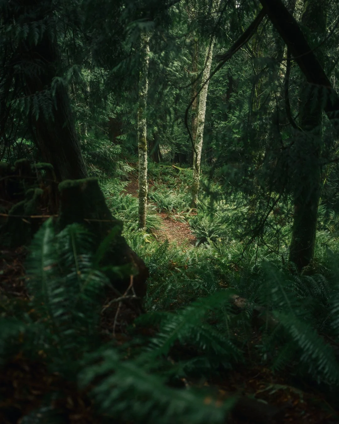 Governors Point Trail