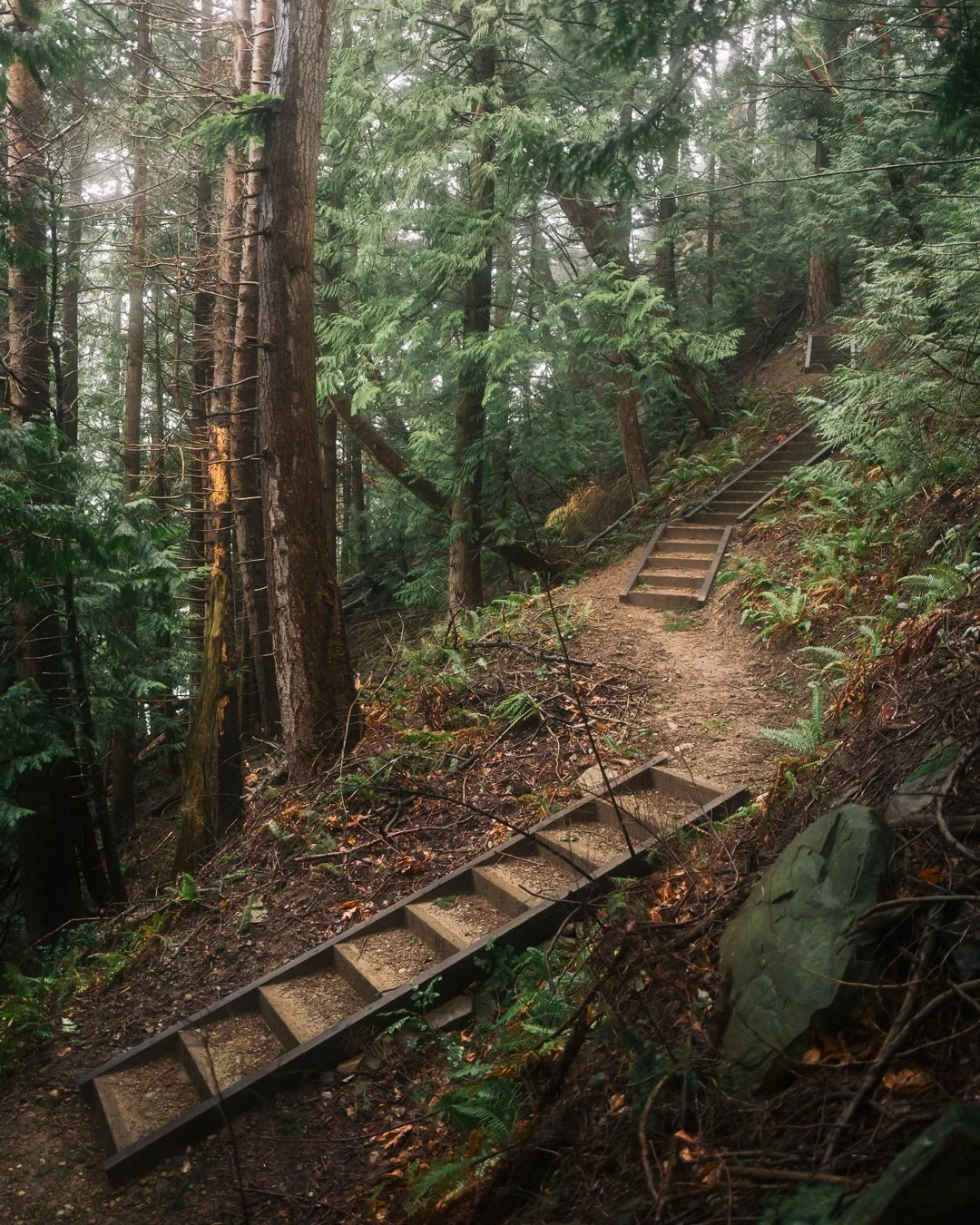 Governors Point Trail