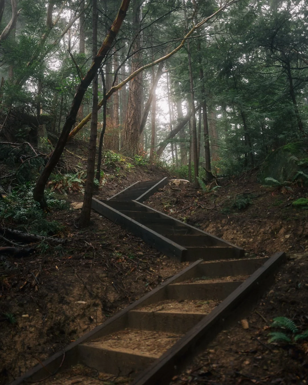 Governors Point Trail